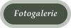 Fotogalerie