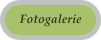 Fotogalerie